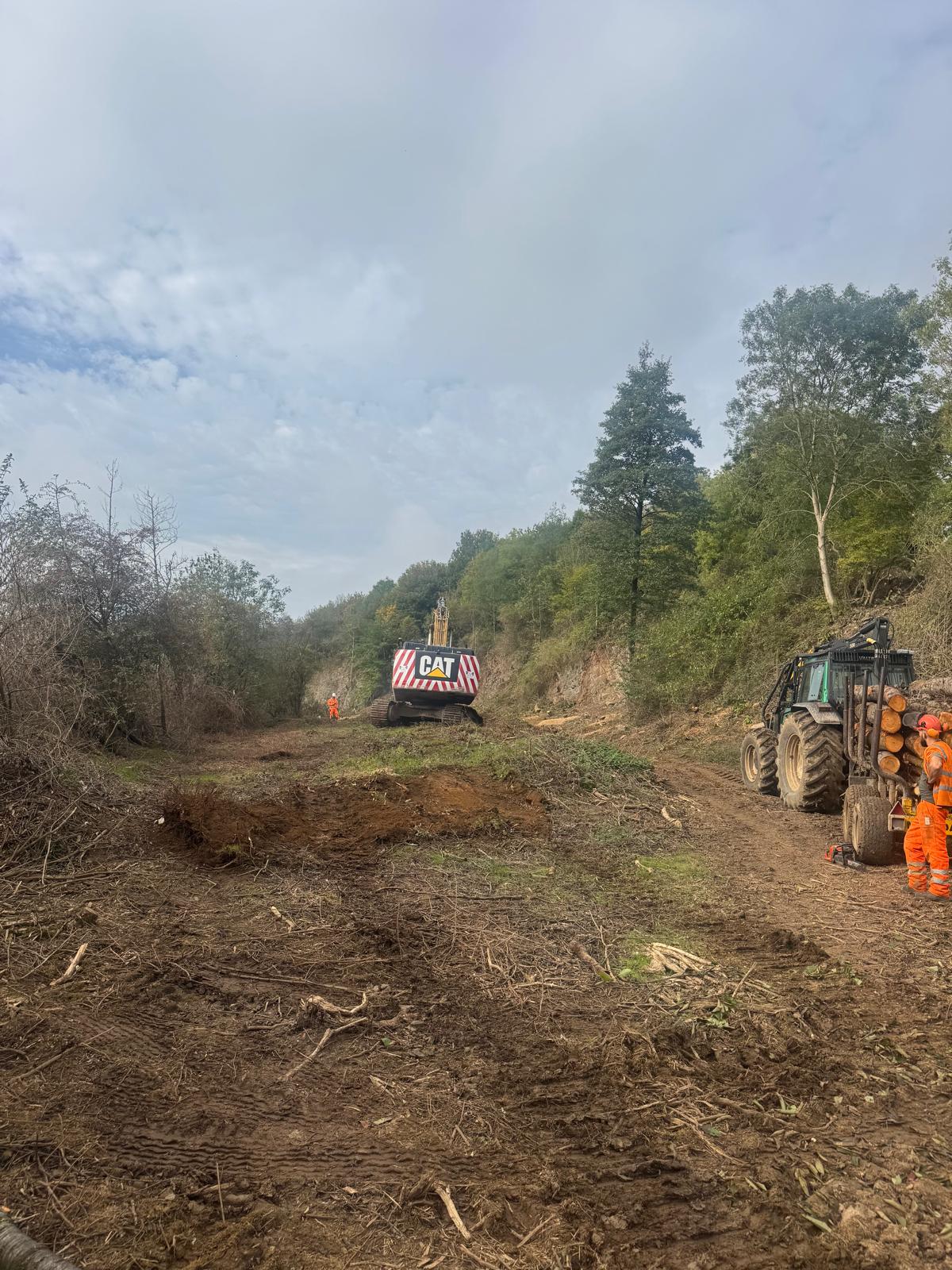 Treebor felling and extracting timber for a quarry extension at Whatley, Somerset