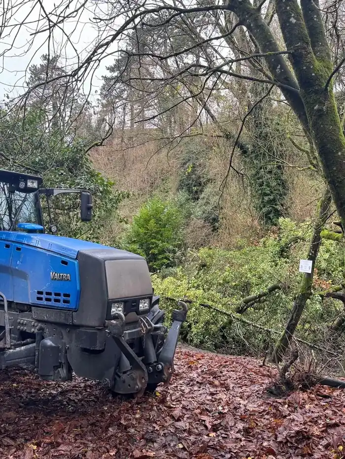 Forestry tractor clearing trees beside a pond at Great Elm, Somerset