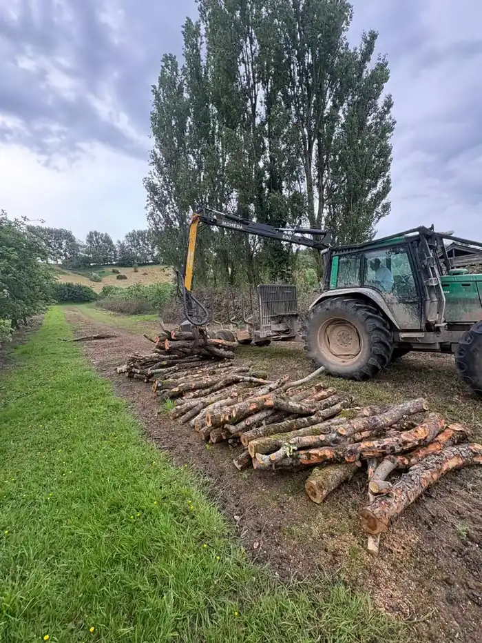 Forestry tractor and timber crane thinning an orchard at Hadspen, Somerset