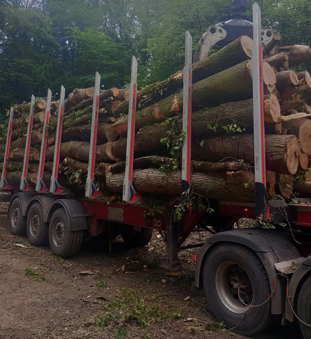 Grab loader stacking felled timber onto a trailer during a Treebor forestry job near Hadspen, Somerset
