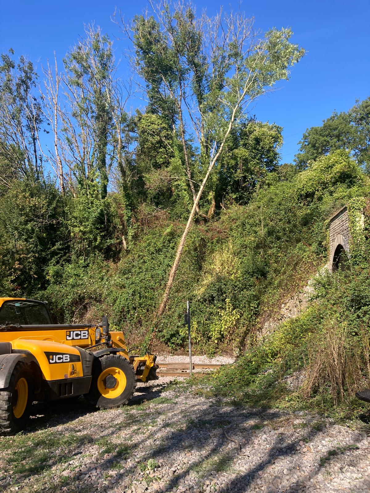 JCB telehandler clearing ash dieback trees from the embankment beside a railway tunnel portal at Mells, Somerset