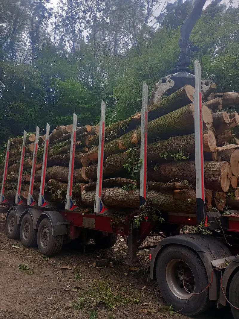 Grab loader stacking felled timber onto a trailer in Somerset