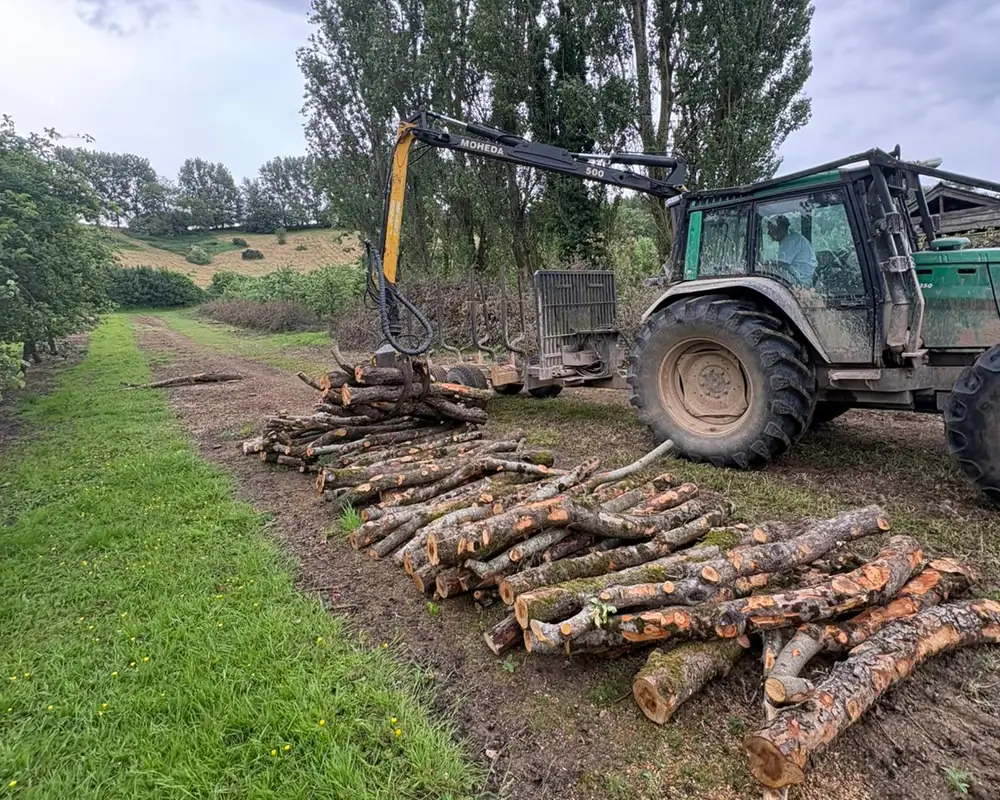 Forestry tractor and timber crane thinning trees at an orchard in Hadspen, Somerset