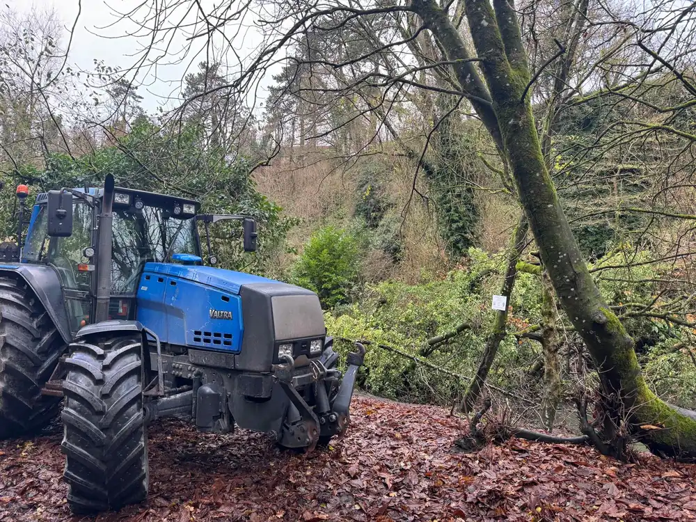Blue forestry tractor clearing trees beside a pond at Great Elm, Somerset