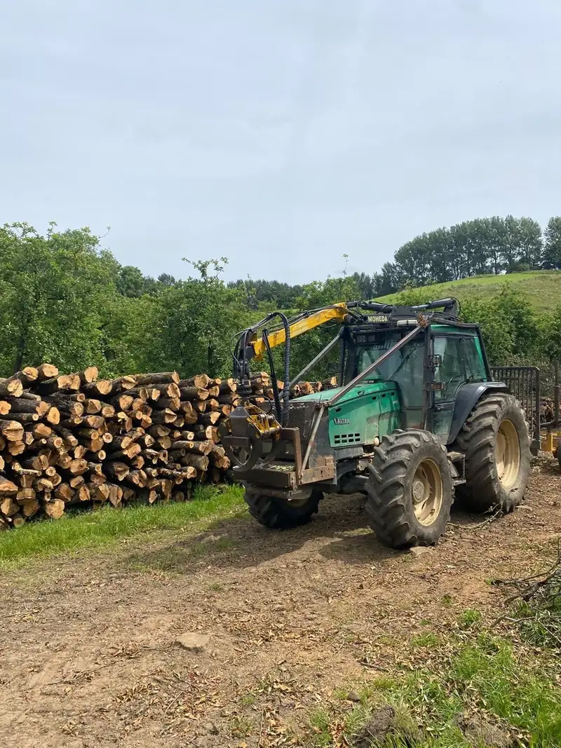 Treebor forestry tractor with timber crane beside a stack of felled logs in Somerset