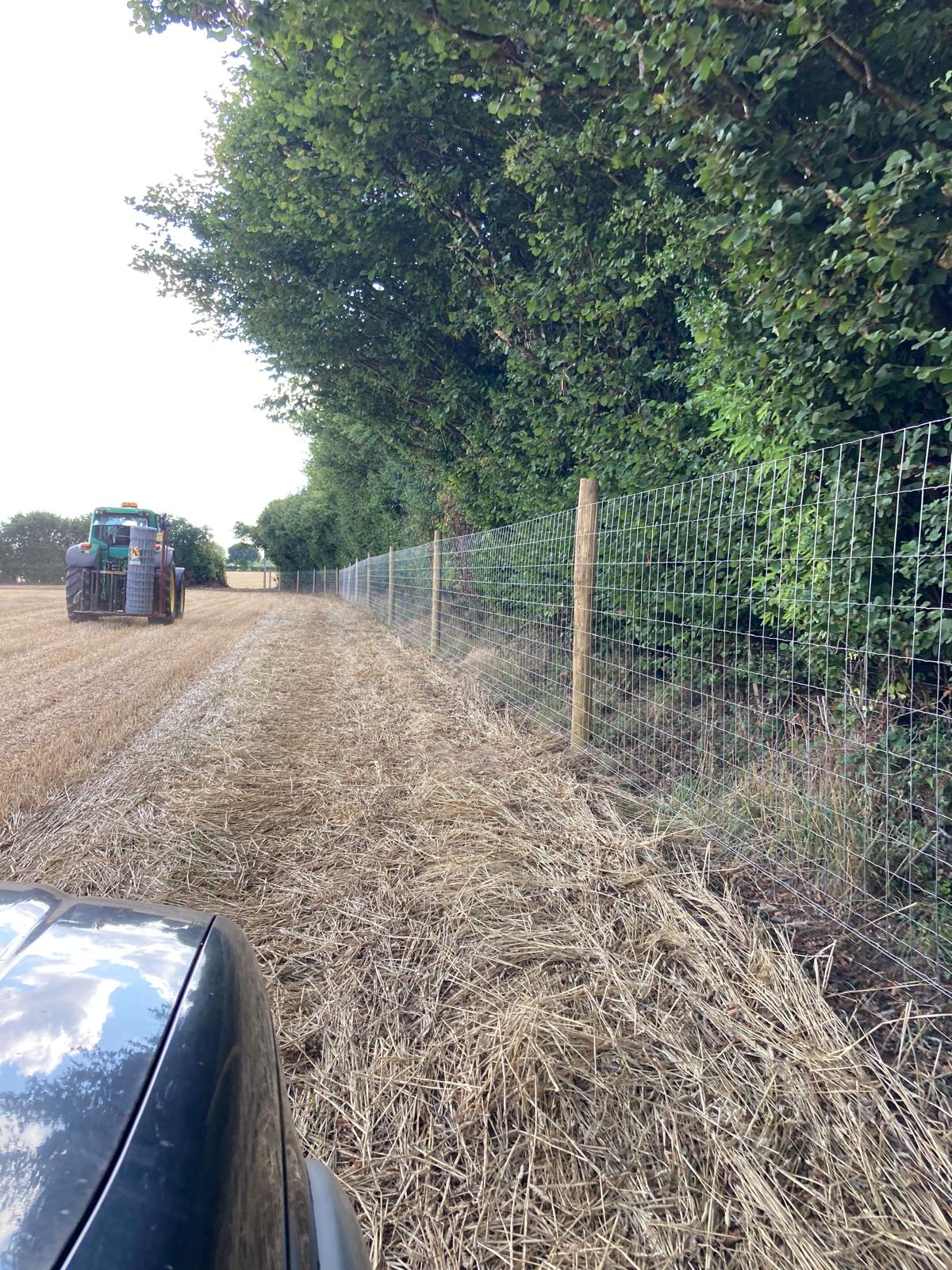 Treebor installing post and wire deer fencing along a field boundary in Somerset