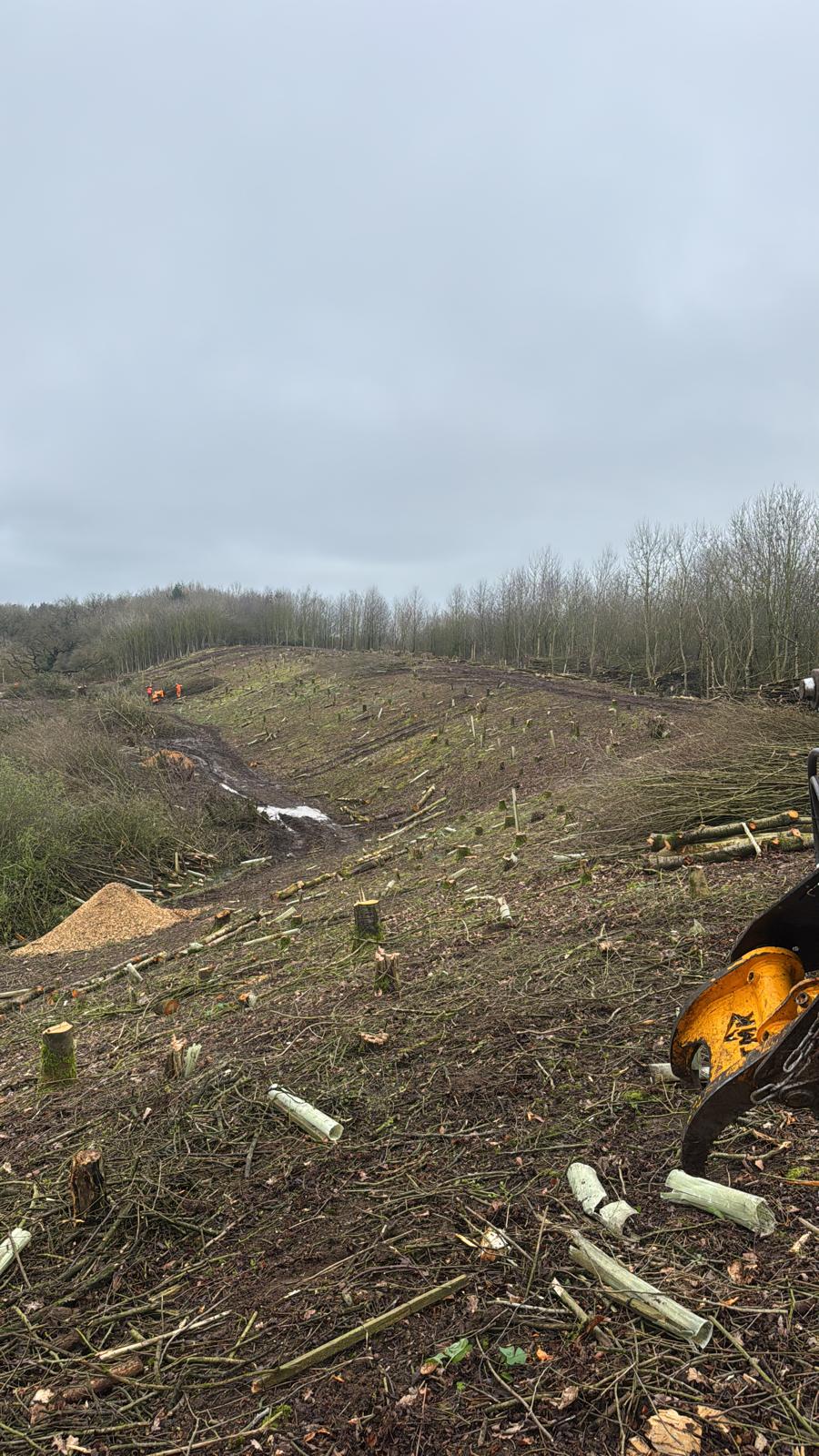 Treebor clearing woodland for a quarry extension at Tytherington, Somerset